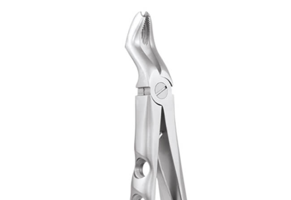 UPPER MOLAR FX6CP