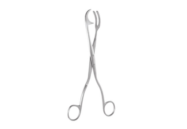 ROGGE FORCEP RF20